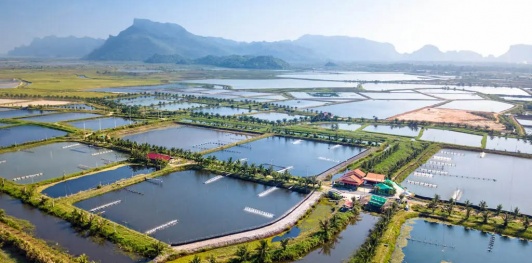 Khoáng thủy sản loại nào tốt